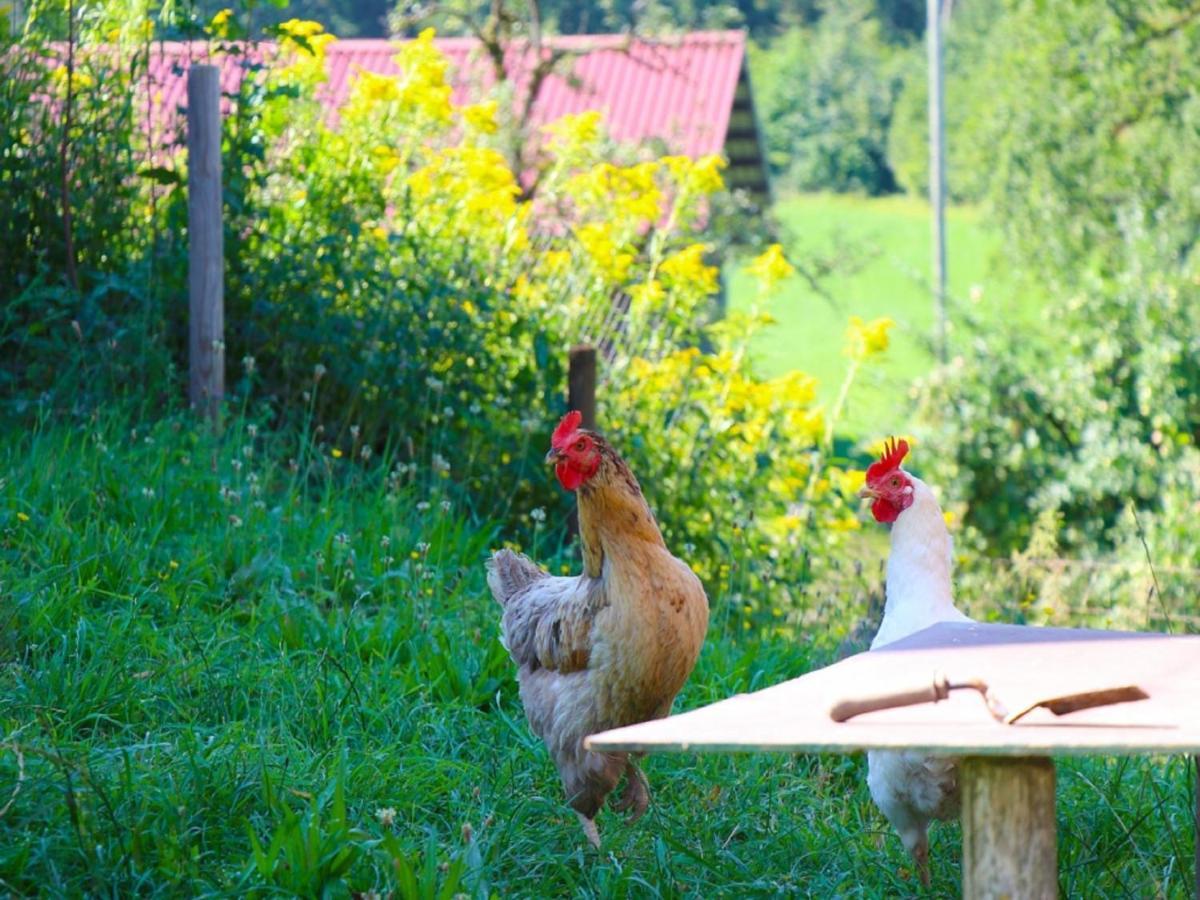 Ferienwohnungen Berger Scheidegg Ngoại thất bức ảnh
